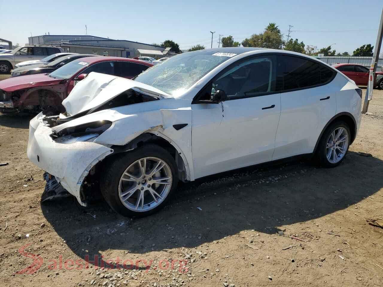 2024 TESLA MODEL Y — VIN 7SAYGDEE6RF088774