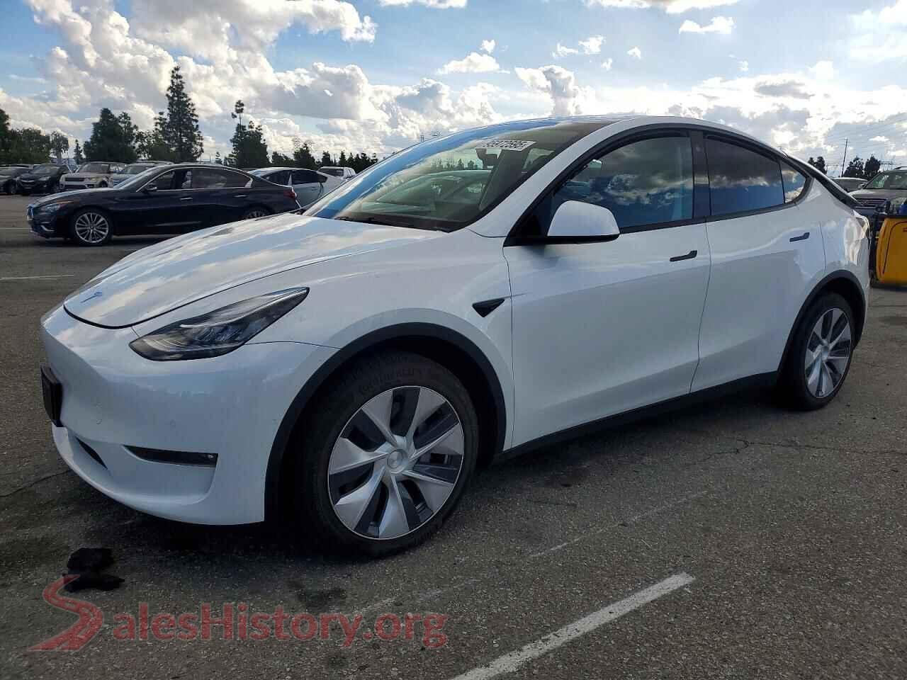2022 TESLA MODEL Y — VIN 7SAYGDEE7NF512120