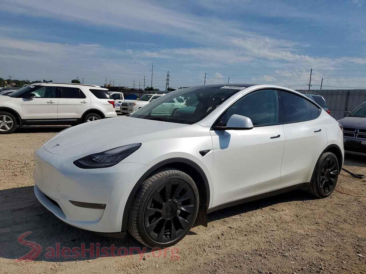 2023 TESLA MODEL Y — VIN 7SAYGDEE7PA065353