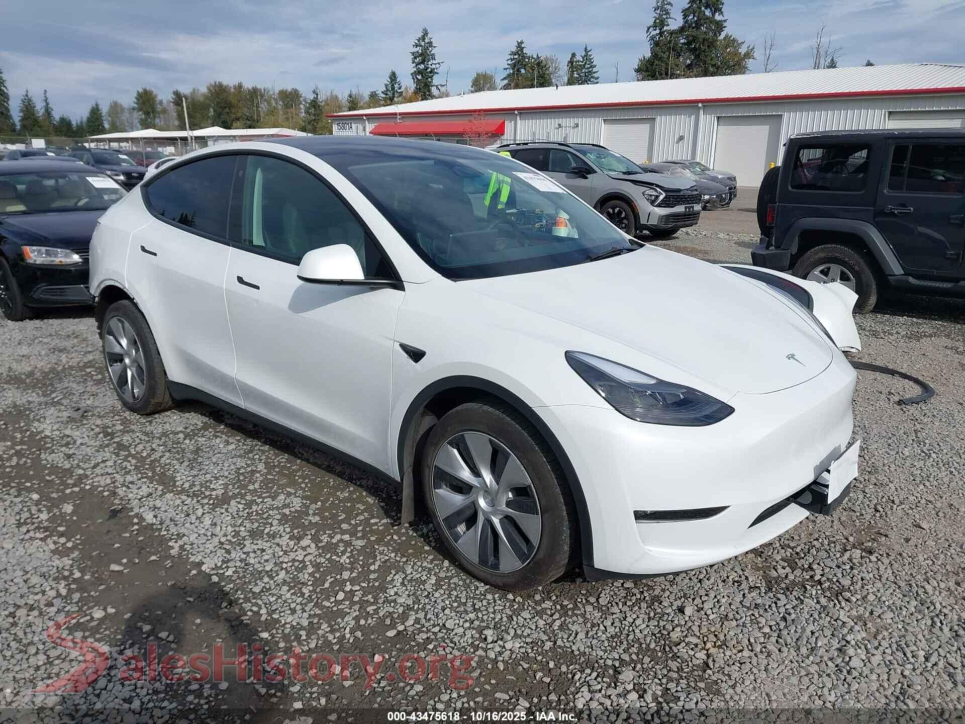 2023 TESLA MODEL Y — VIN 7SAYGDEE7PF682772