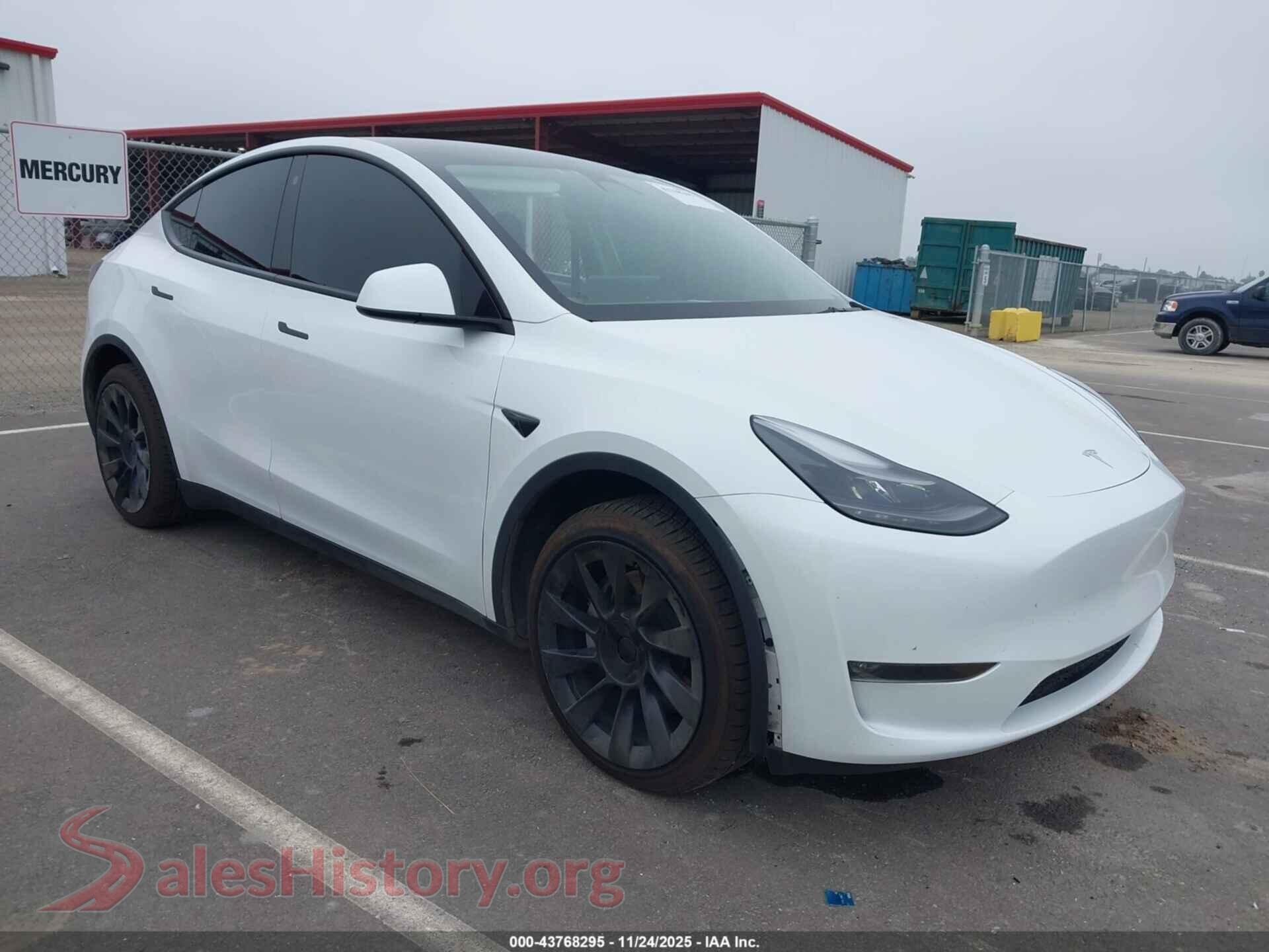 2023 TESLA MODEL Y — VIN 7SAYGDEE7PF691505