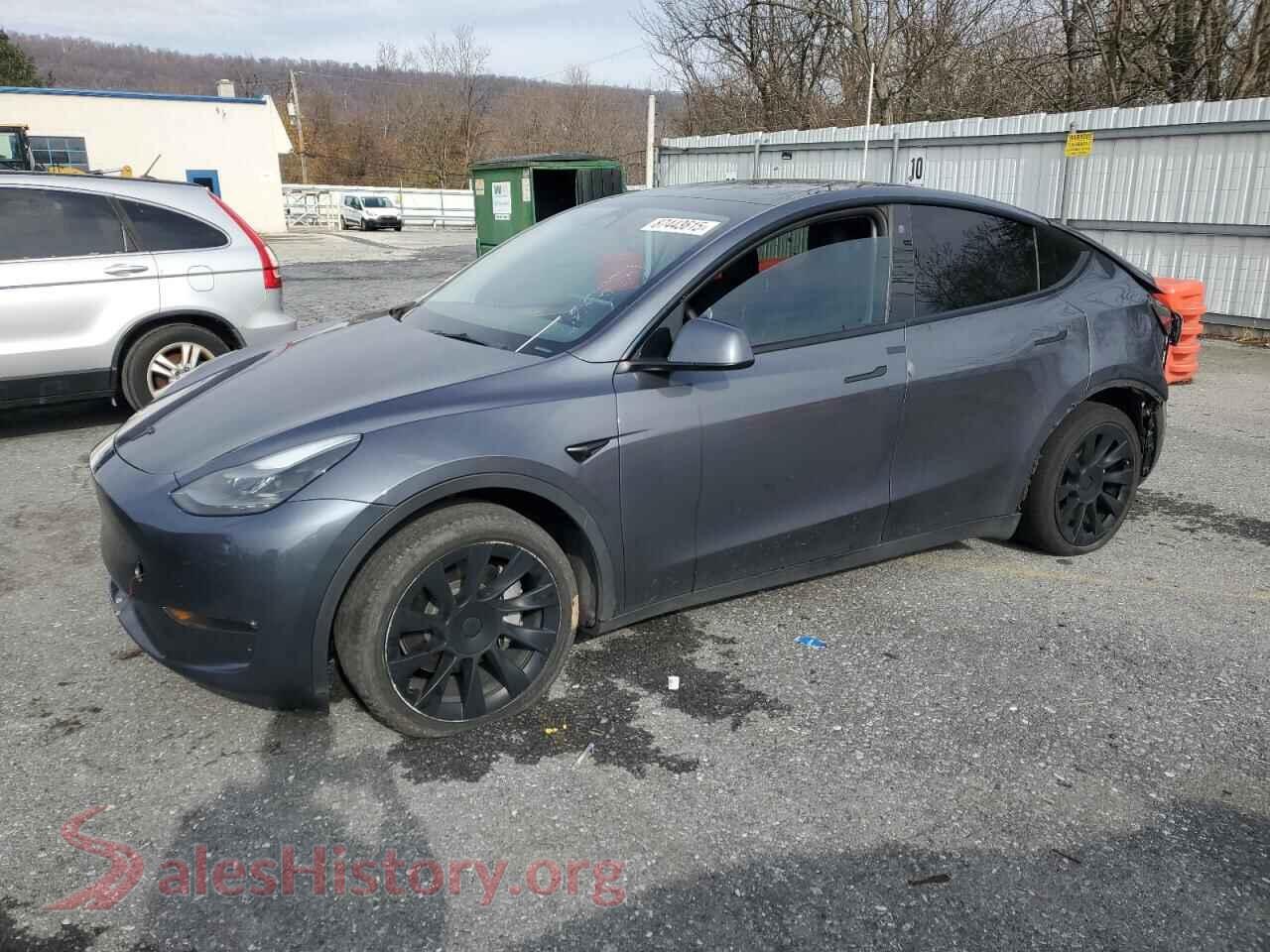 2023 TESLA MODEL Y — VIN 7SAYGDEE7PF694131