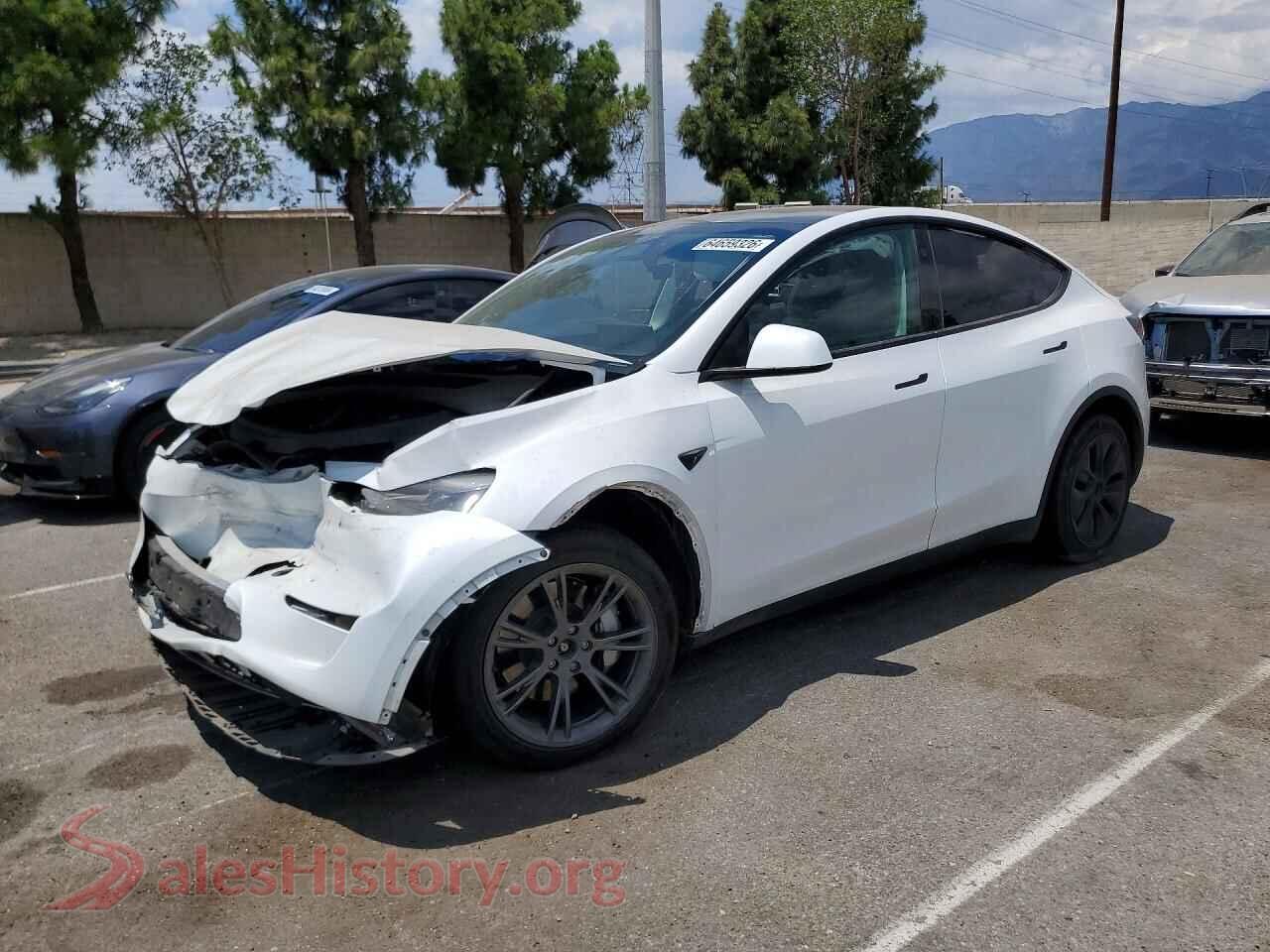 2024 TESLA MODEL Y — VIN 7SAYGDEE7RF114721