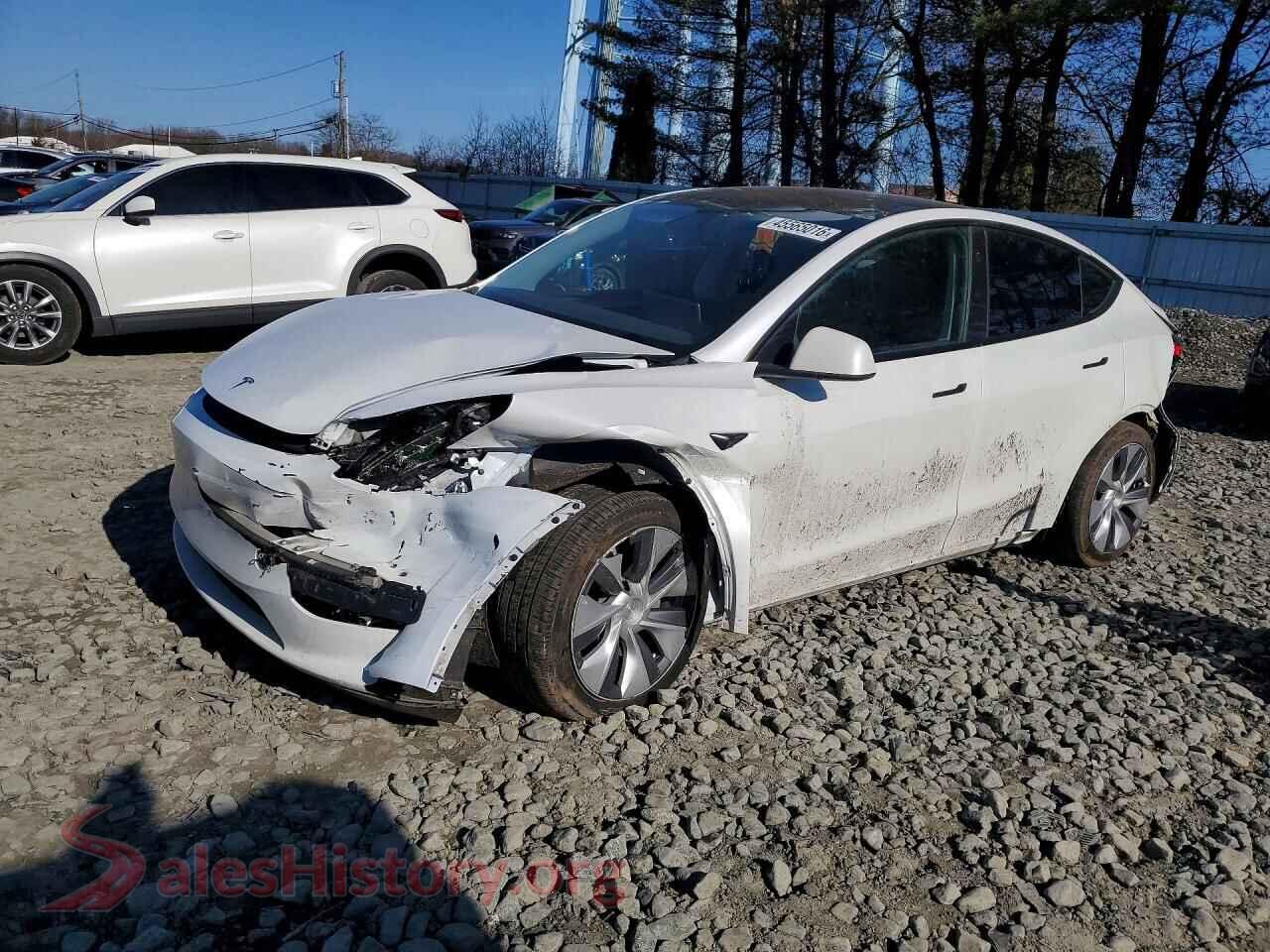 2023 TESLA MODEL Y — VIN 7SAYGDEE8PA173058