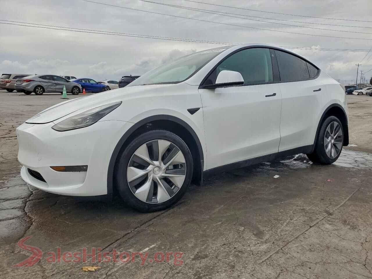 2023 TESLA MODEL Y — VIN 7SAYGDEE8PF666600