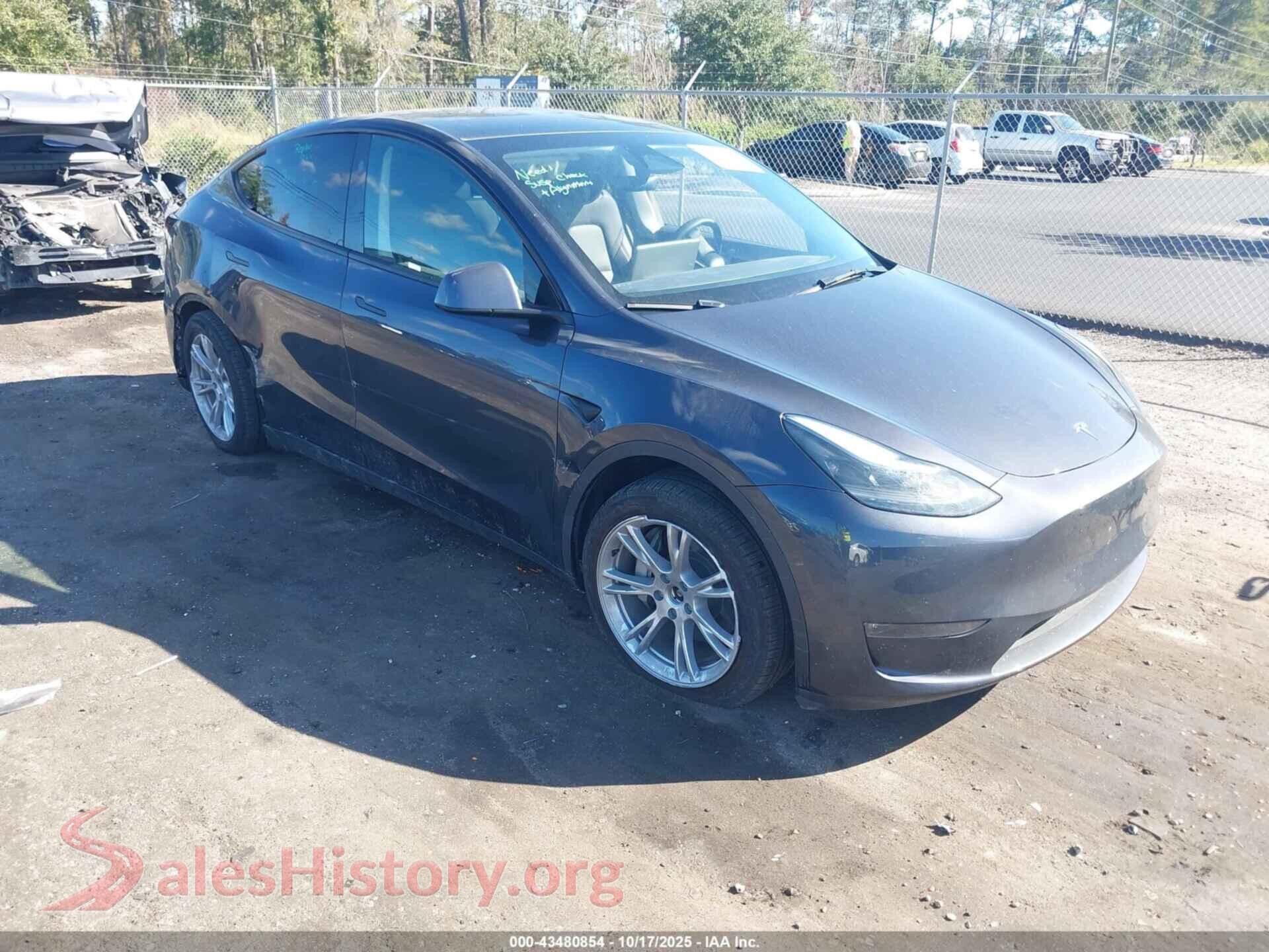 2024 TESLA MODEL Y — VIN 7SAYGDEE8RA234511