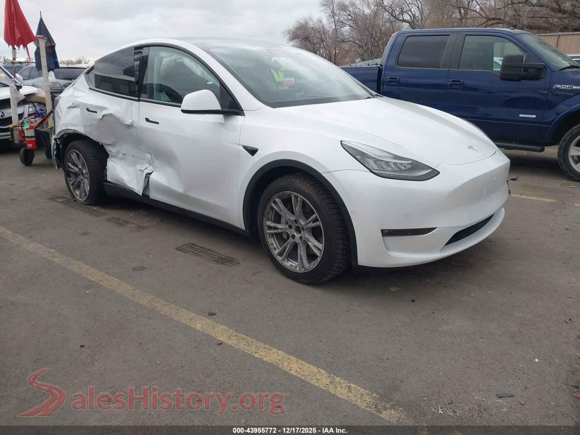 2022 TESLA MODEL Y — VIN 7SAYGDEE9NF364519