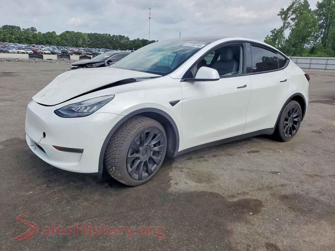 2022 TESLA MODEL Y — VIN 7SAYGDEE9NF385581