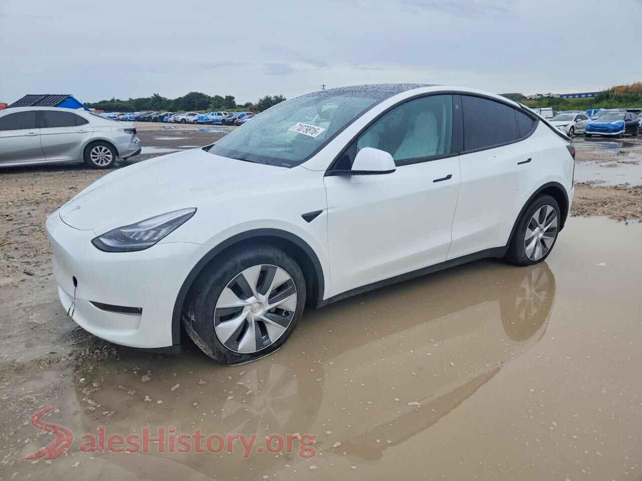 2023 TESLA MODEL Y — VIN 7SAYGDEE9PA108039