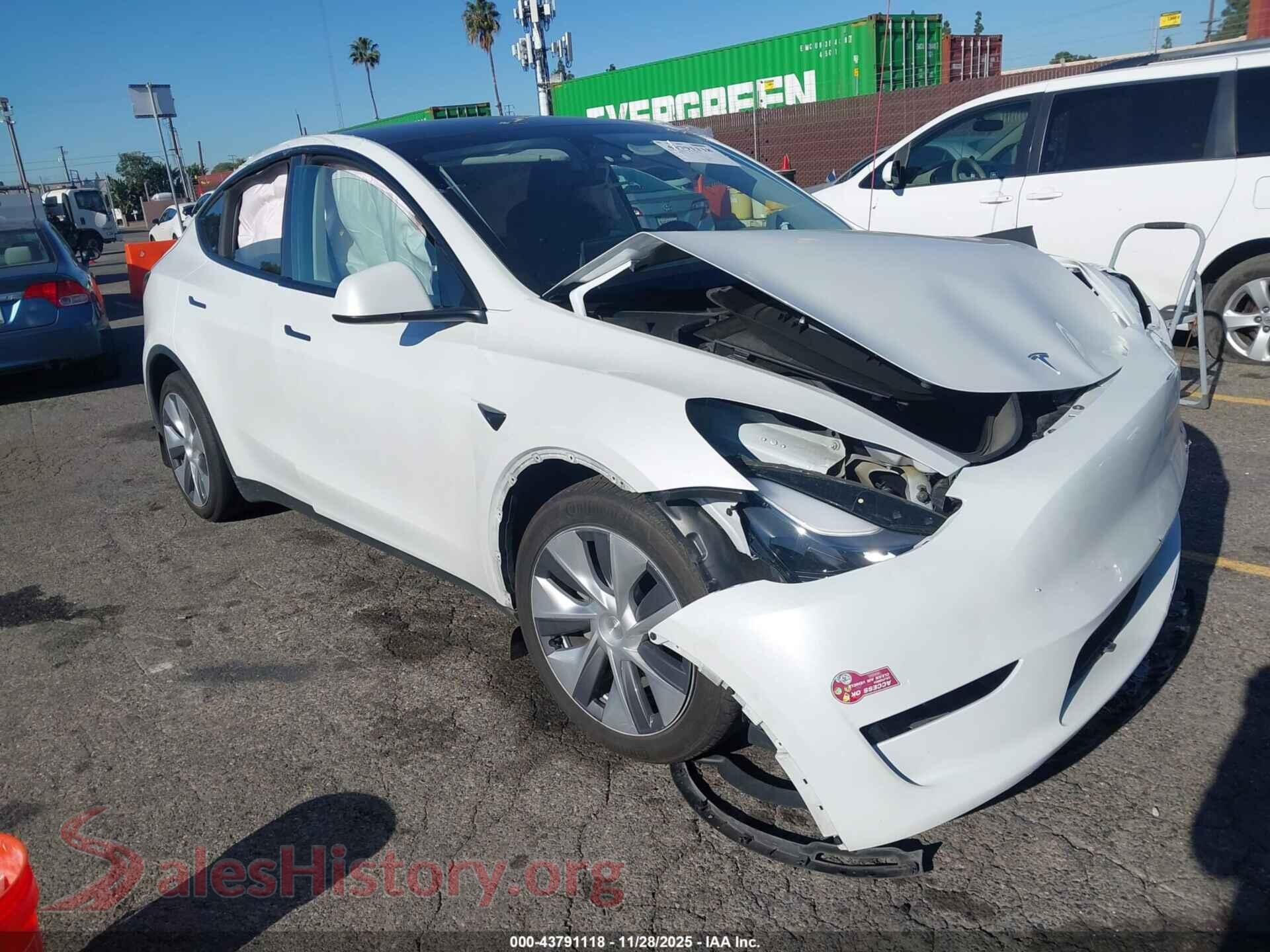 2024 TESLA MODEL Y — VIN 7SAYGDEE9RF090860
