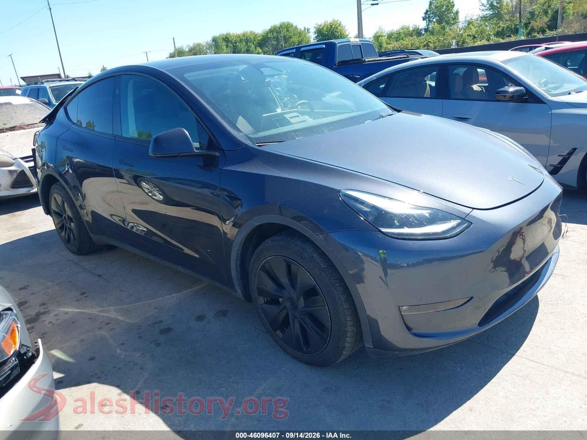 2024 TESLA MODEL Y — VIN 7SAYGDEE9RF163337
