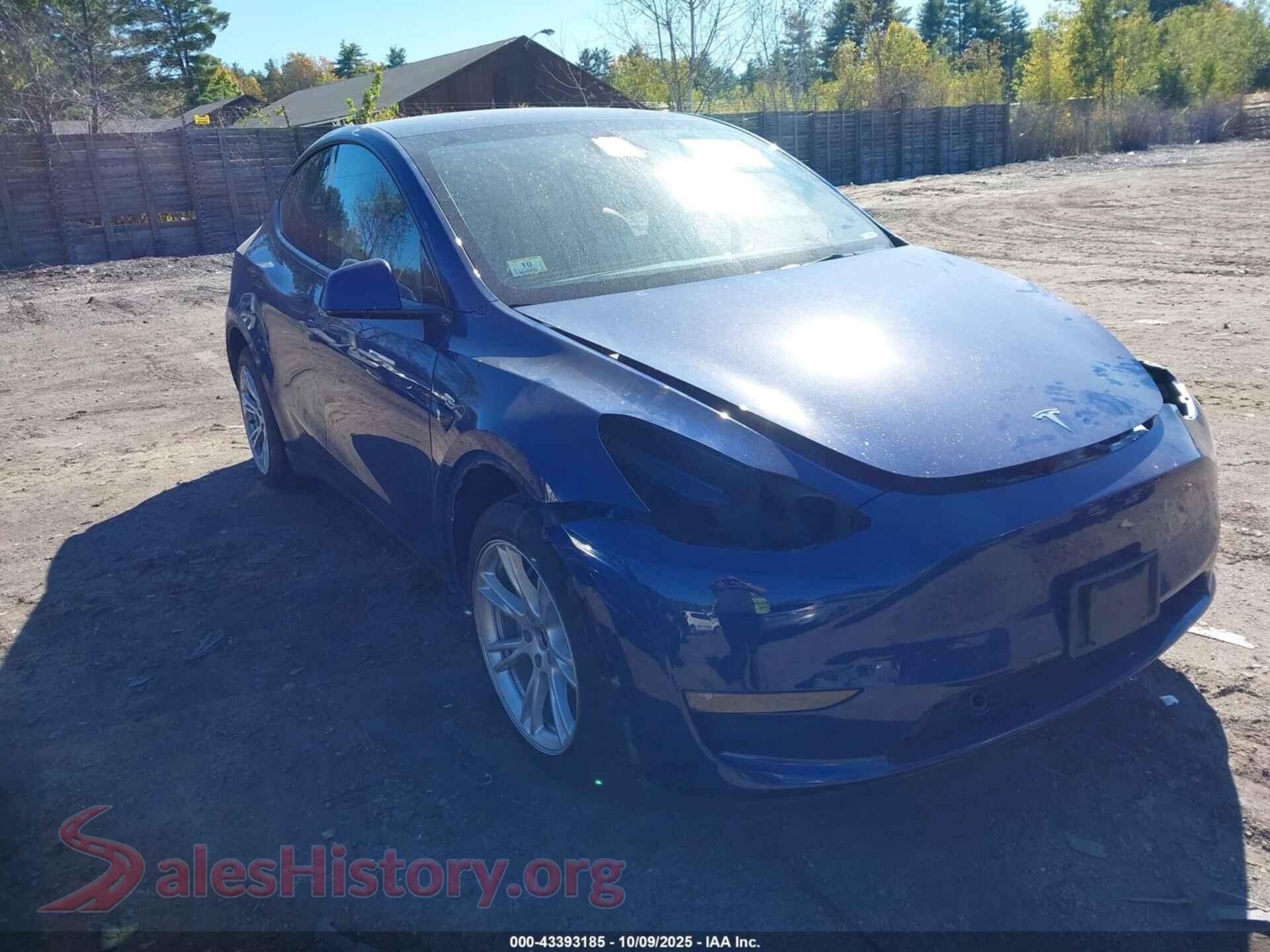 2022 TESLA MODEL Y — VIN 7SAYGDEEXNF307424