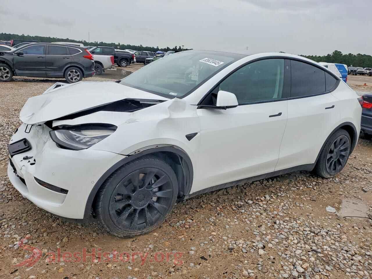 2022 TESLA MODEL Y — VIN 7SAYGDEEXNF387355