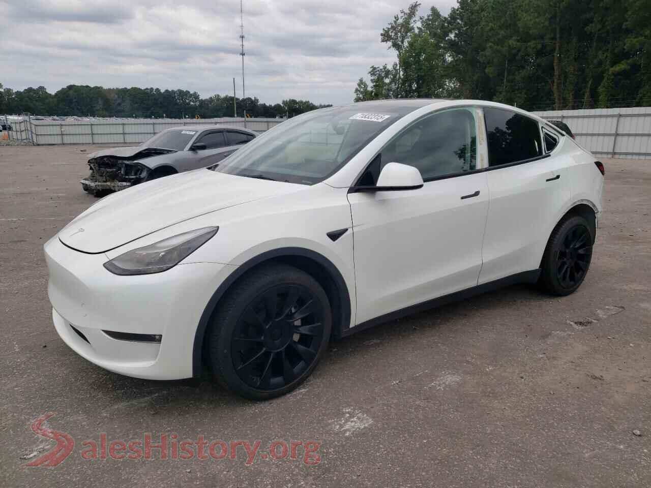 2023 TESLA MODEL Y — VIN 7SAYGDEEXPF596176