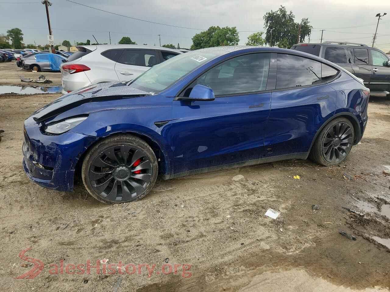 2022 TESLA MODEL Y — VIN 7SAYGDEF0NF345494