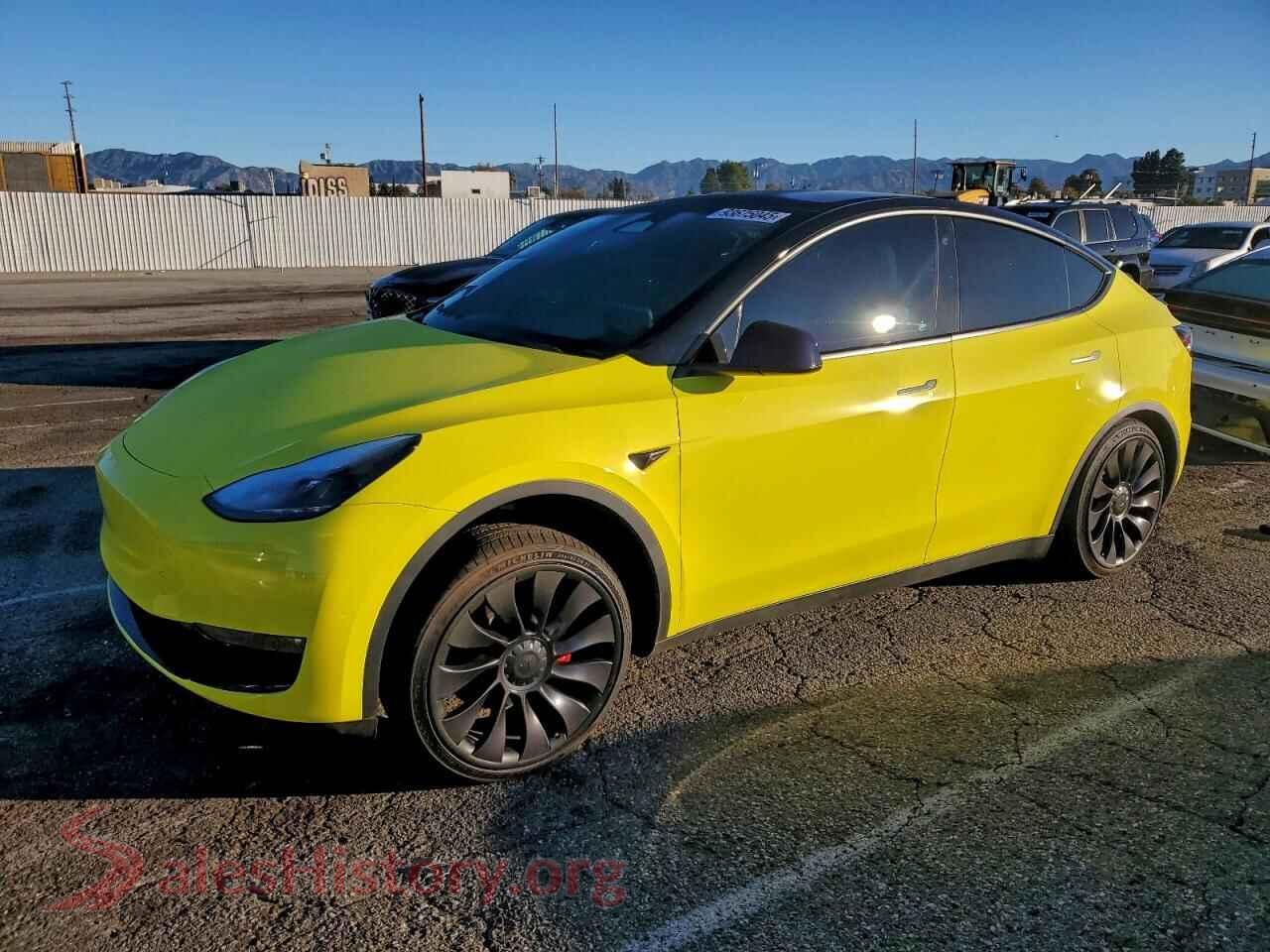 2023 TESLA MODEL Y — VIN 7SAYGDEF0PF663649