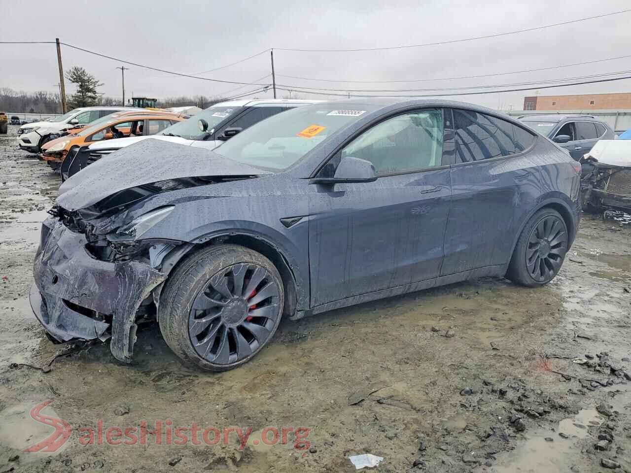 2024 TESLA MODEL Y — VIN 7SAYGDEF0RA264286