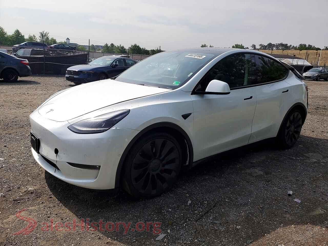 2022 TESLA MODEL Y — VIN 7SAYGDEF1NF446205