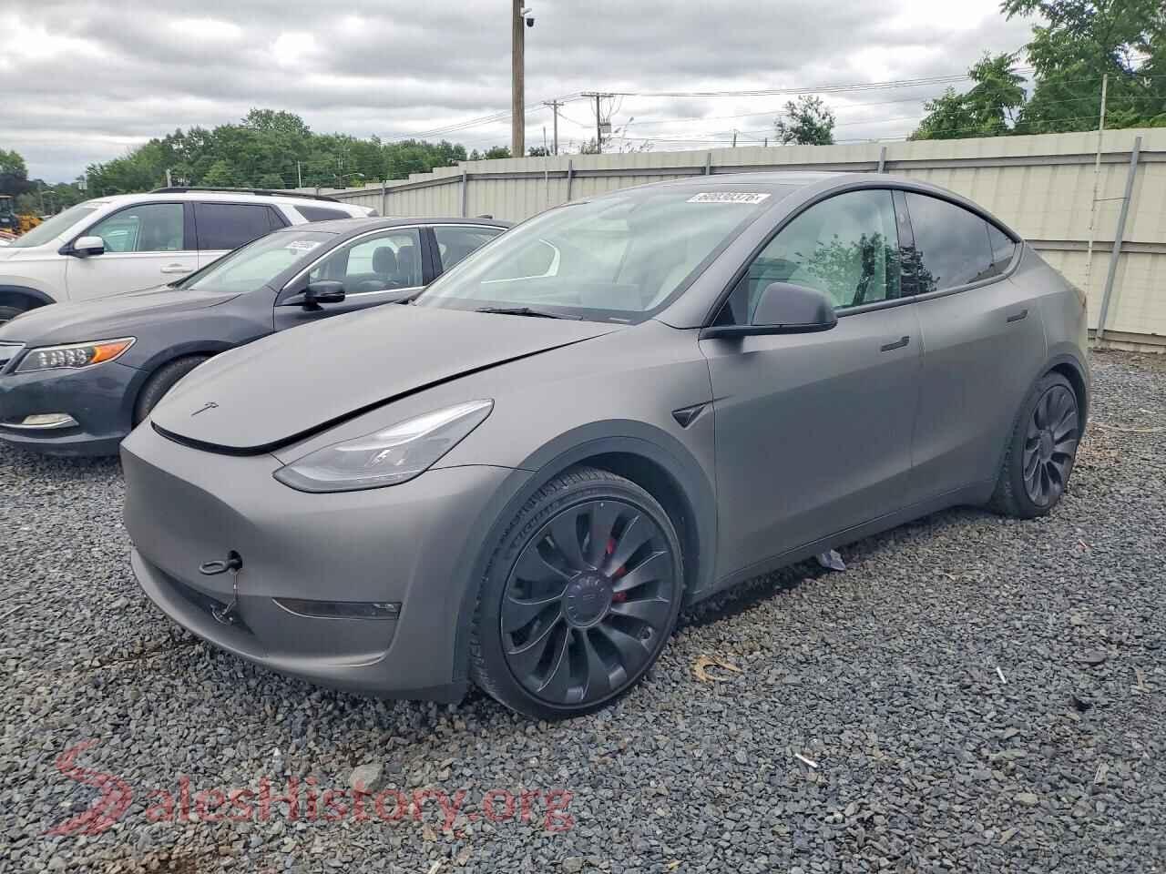 2023 TESLA MODEL Y — VIN 7SAYGDEF1PF869210
