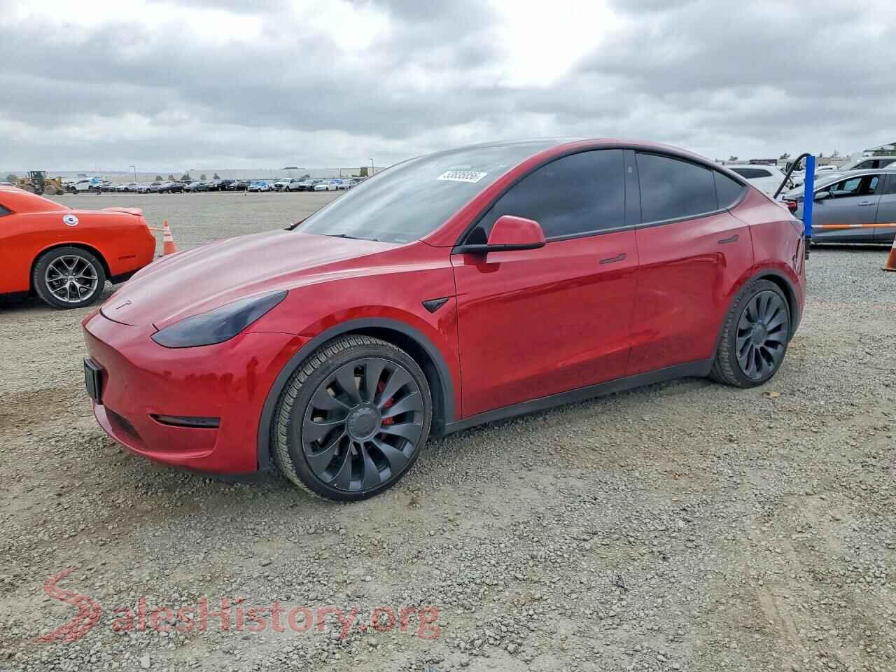 2024 TESLA MODEL Y — VIN 7SAYGDEF1RF125710