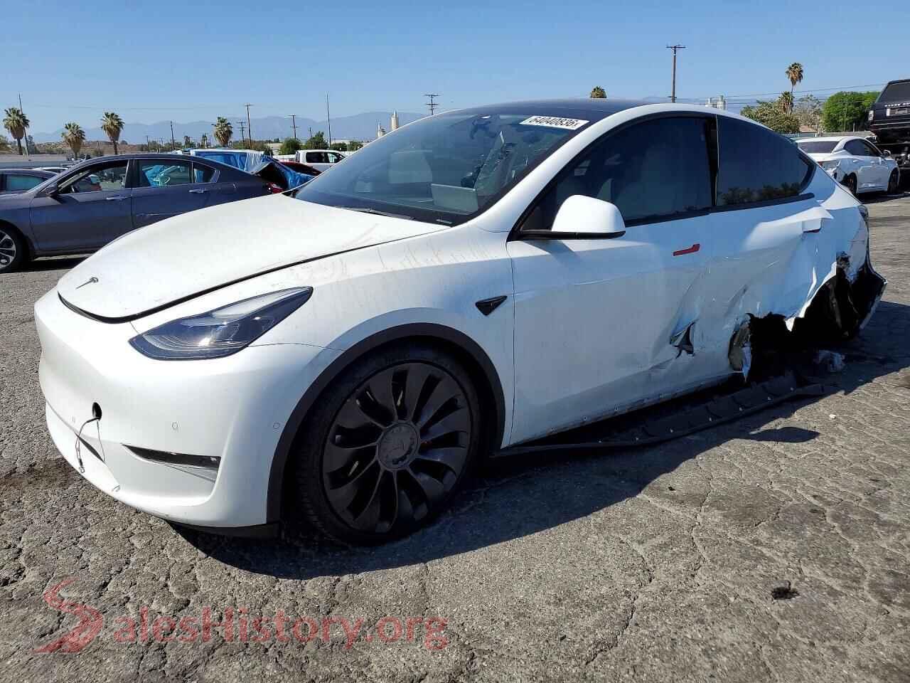 2022 TESLA MODEL Y — VIN 7SAYGDEF3NF537251