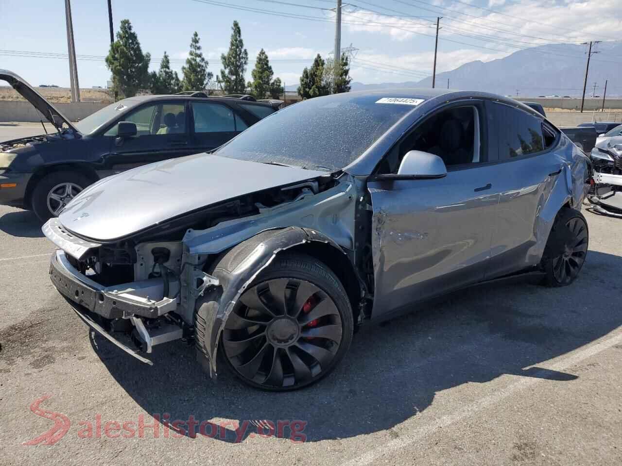 2025 TESLA MODEL Y — VIN 7SAYGDEF3SF312341