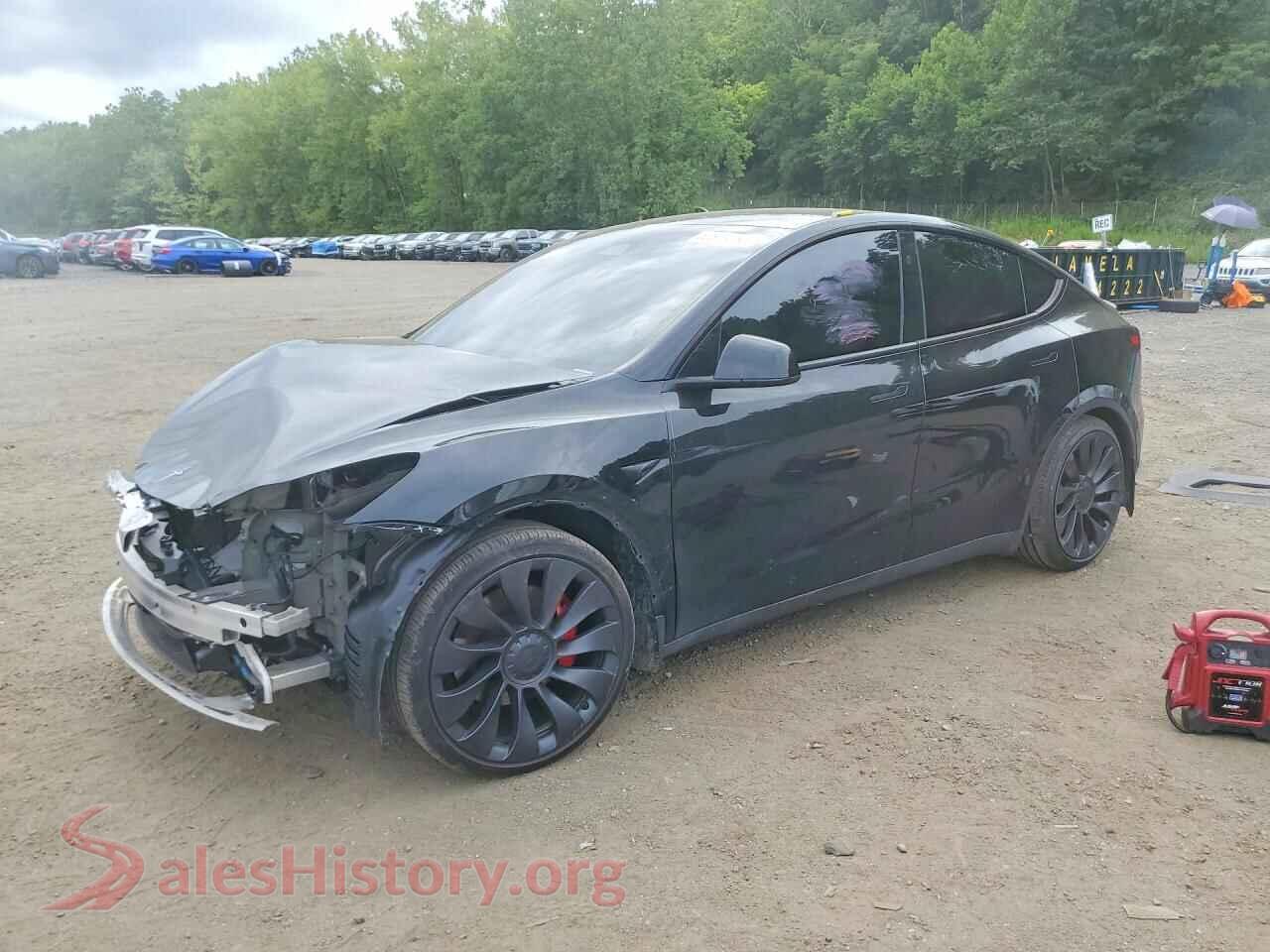 2024 TESLA MODEL Y — VIN 7SAYGDEF4RA269099