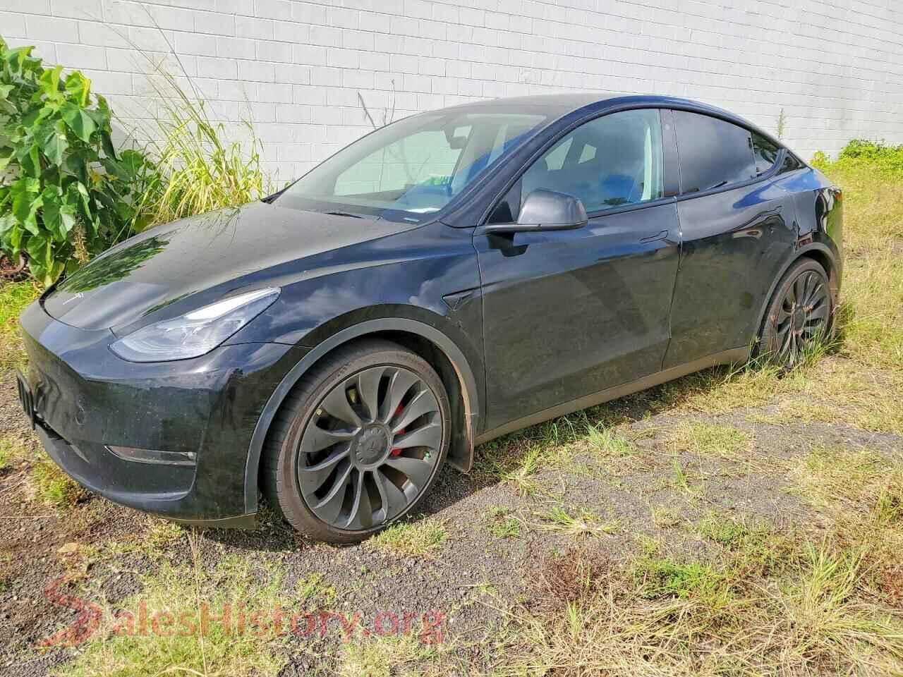 2023 TESLA MODEL Y — VIN 7SAYGDEF6PF666975