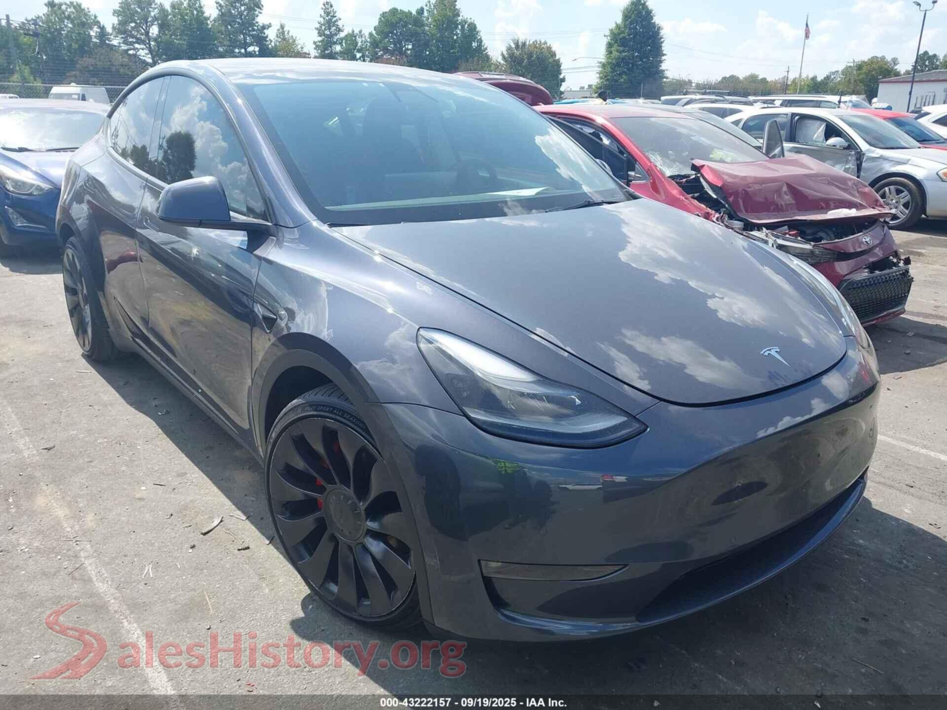 2022 TESLA MODEL Y — VIN 7SAYGDEF7NF339241