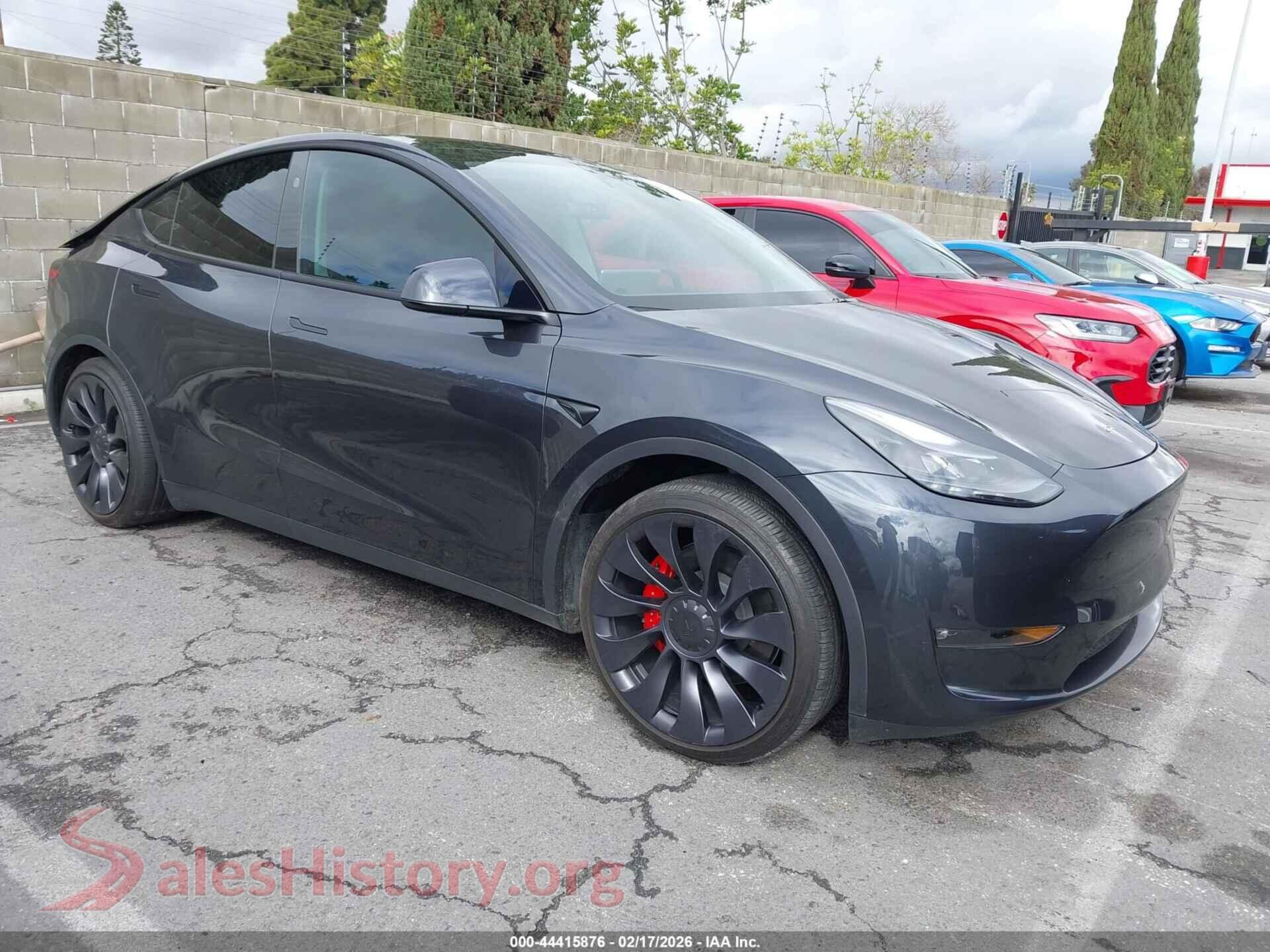 2024 TESLA MODEL Y — VIN 7SAYGDEF7RF197835