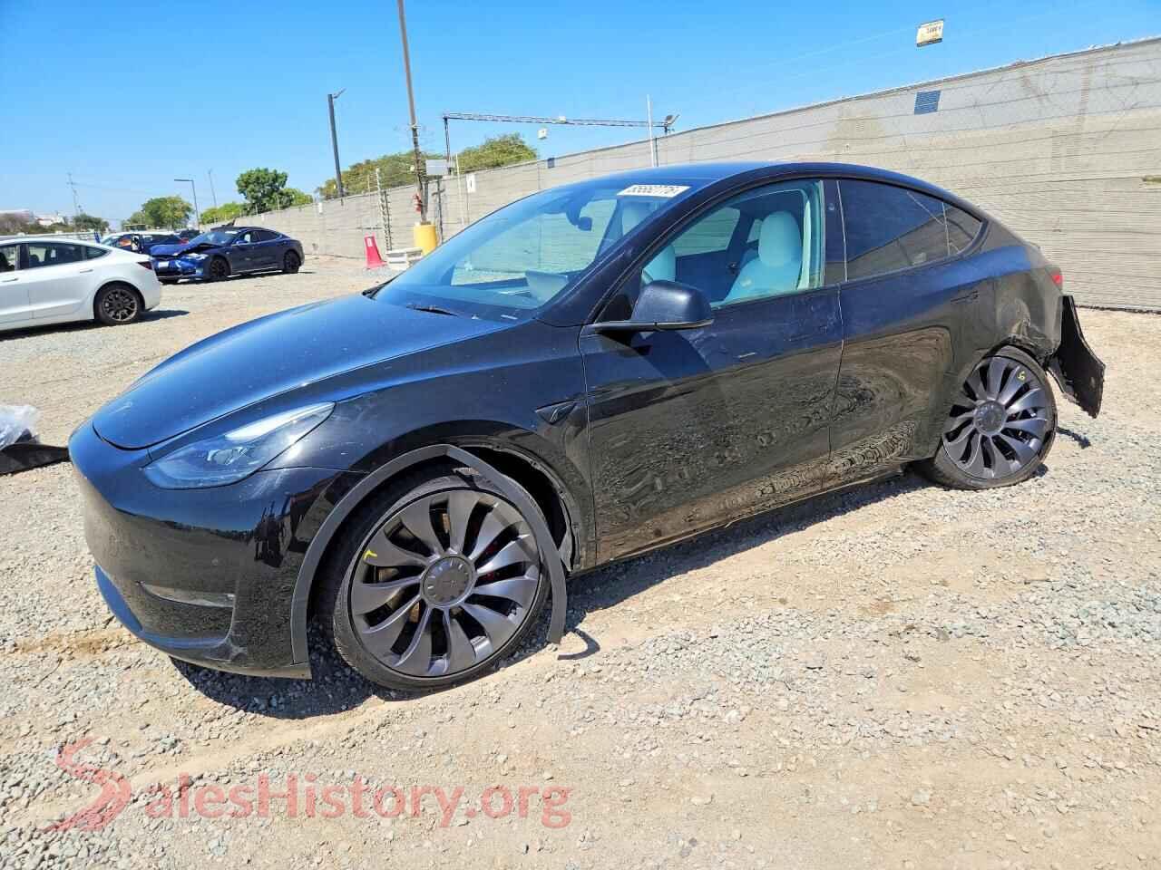 2024 TESLA MODEL Y — VIN 7SAYGDEF8RF132993