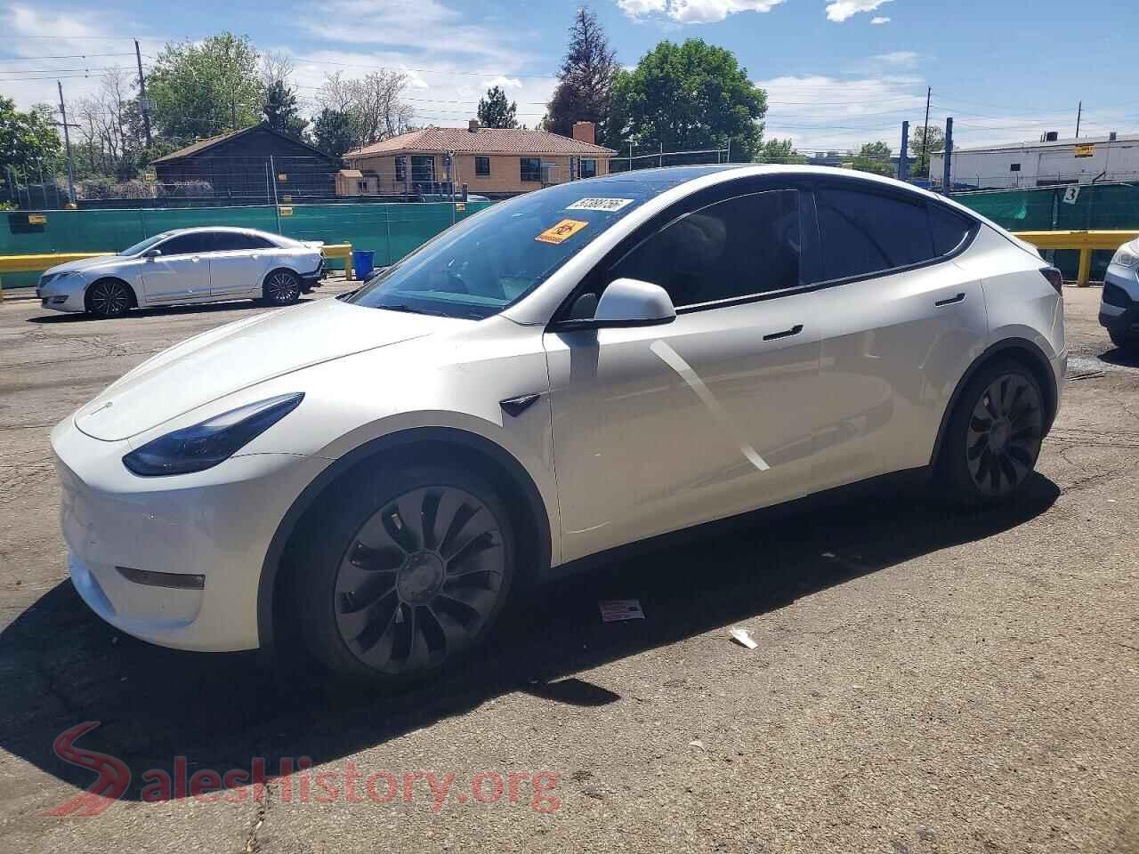 2024 TESLA MODEL Y — VIN 7SAYGDEF9RF083528