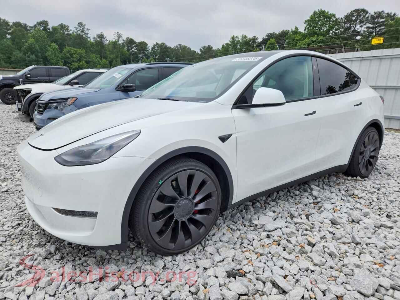 2025 TESLA MODEL Y — VIN 7SAYGDEF9SA343168