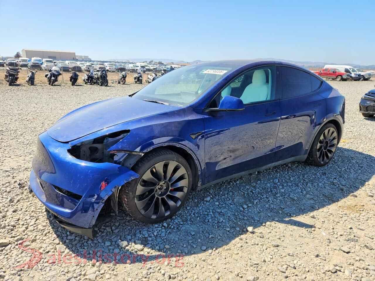 2022 TESLA MODEL Y — VIN 7SAYGDEFXNF561384