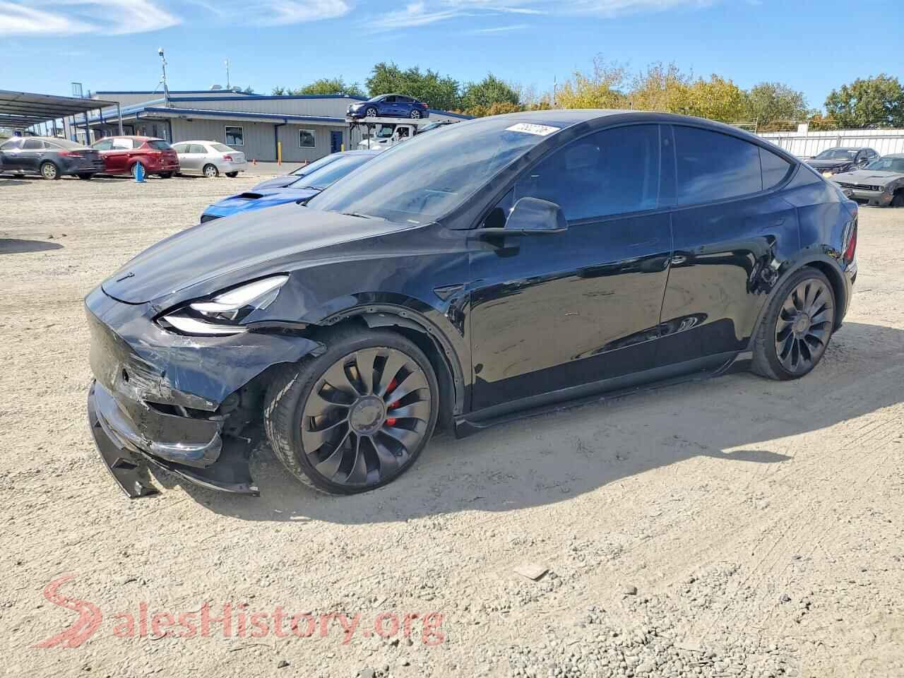 2023 TESLA MODEL Y — VIN 7SAYGDEFXPF702988