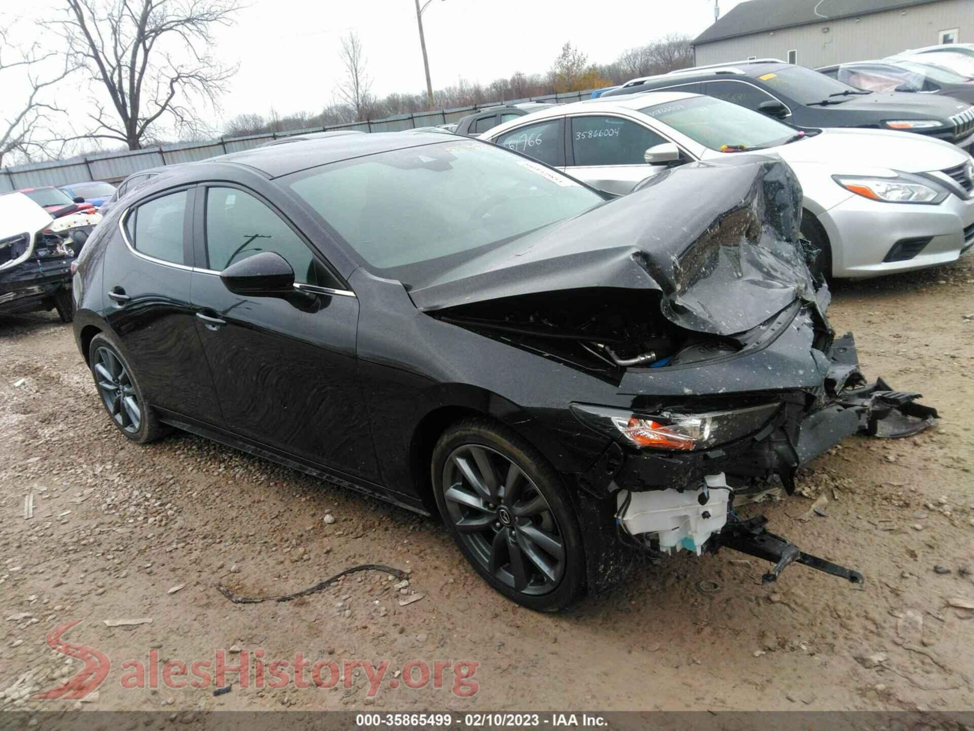 2019 MAZDA MAZDA3 HATCHBACK — VIN JM1BPALM5K1111116