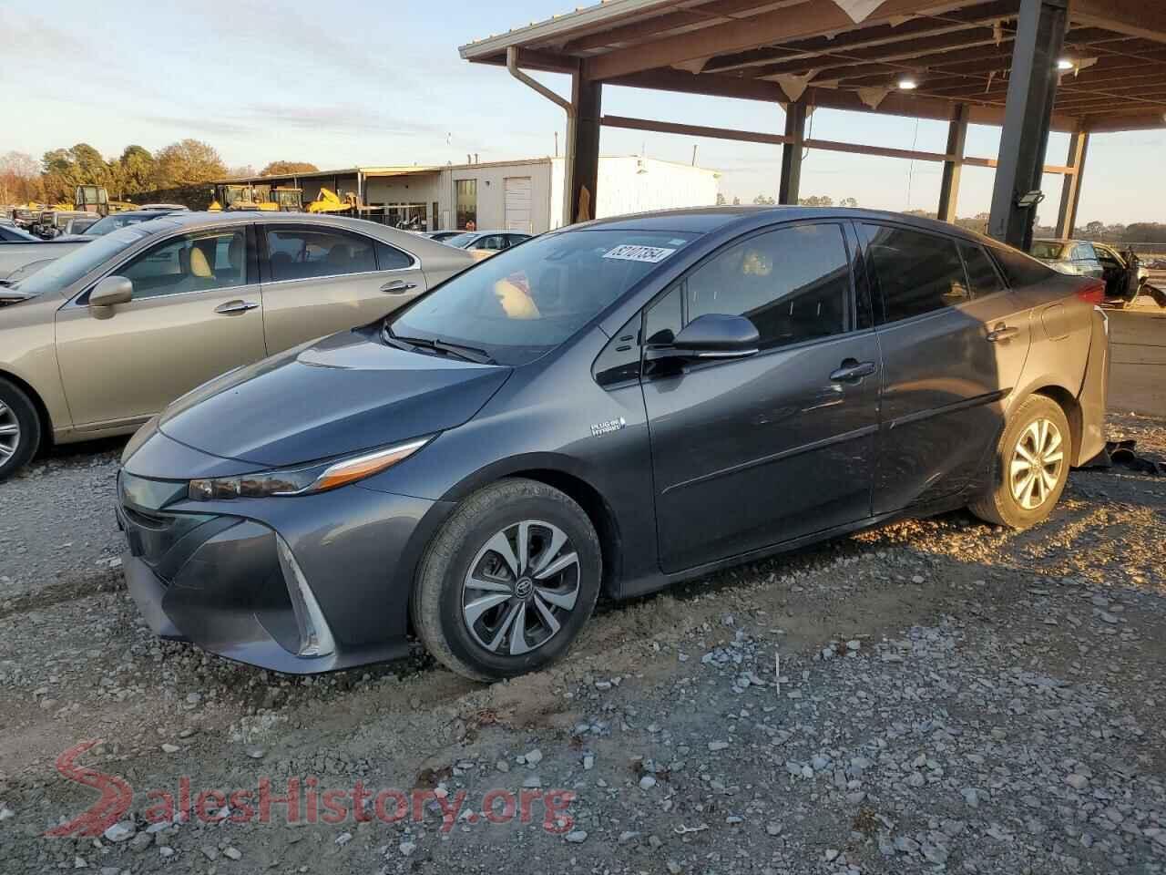 2019 TOYOTA PRIUS — VIN JTDKARFP8K3106406