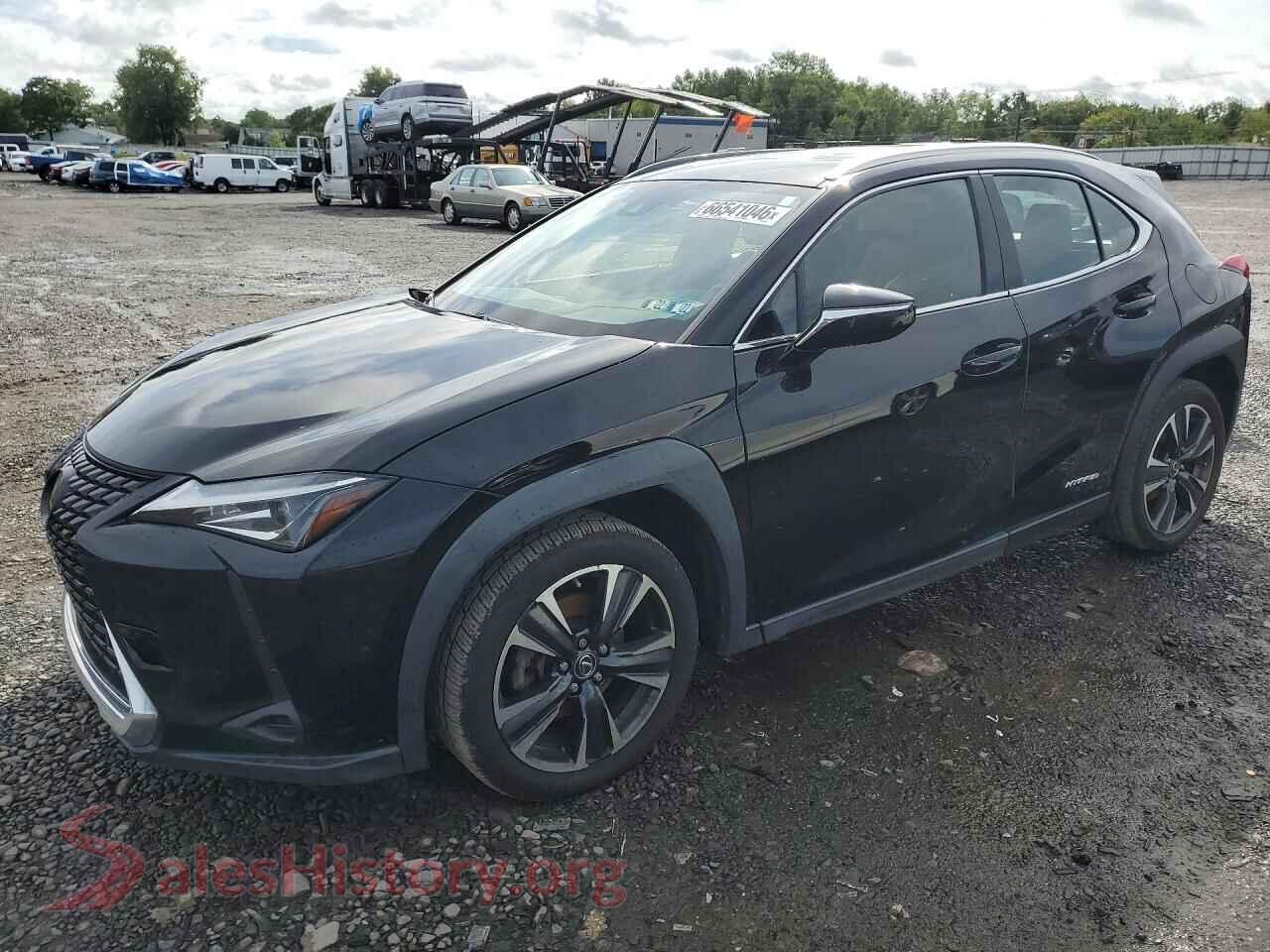 2021 LEXUS ALL OTHER — VIN JTHP9JBH3M2045925