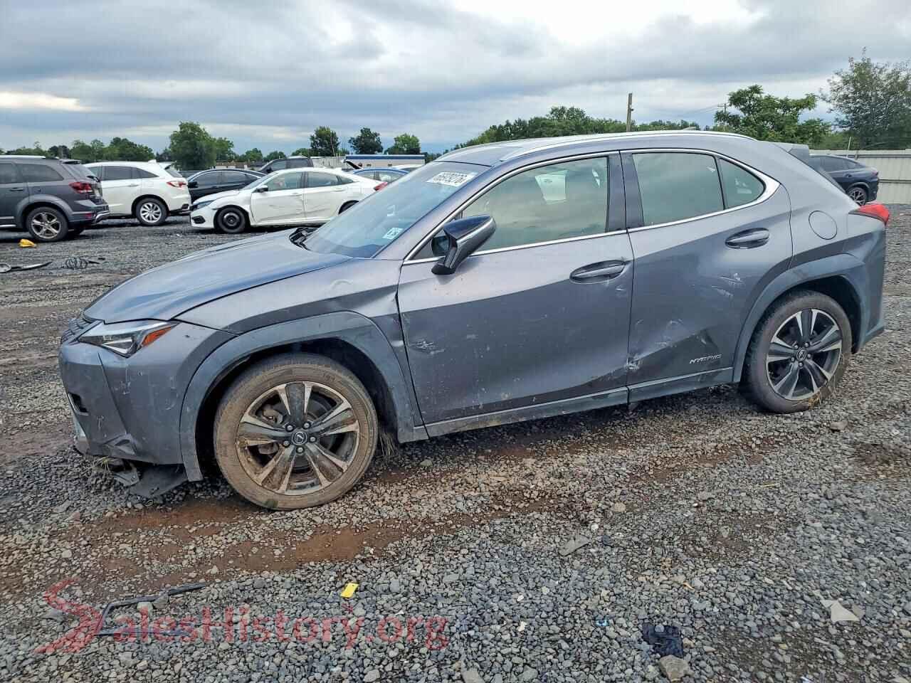2021 LEXUS ALL OTHER — VIN JTHP9JBH6M2049578