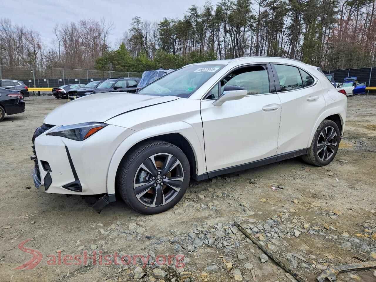 2024 LEXUS UNKNOWN — VIN JTHP9JBH6R2076934
