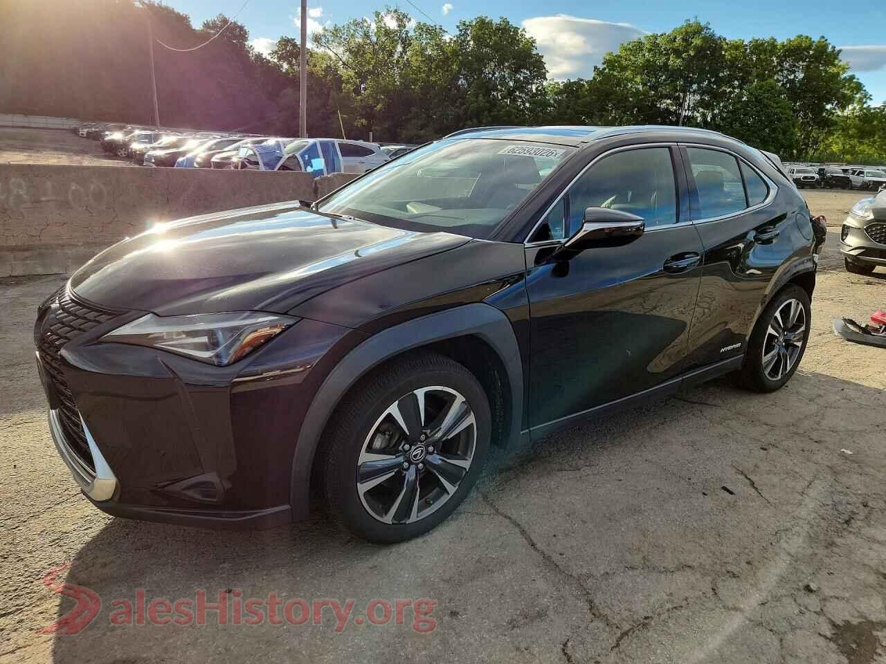 2021 LEXUS ALL OTHER — VIN JTHP9JBH7M2052716