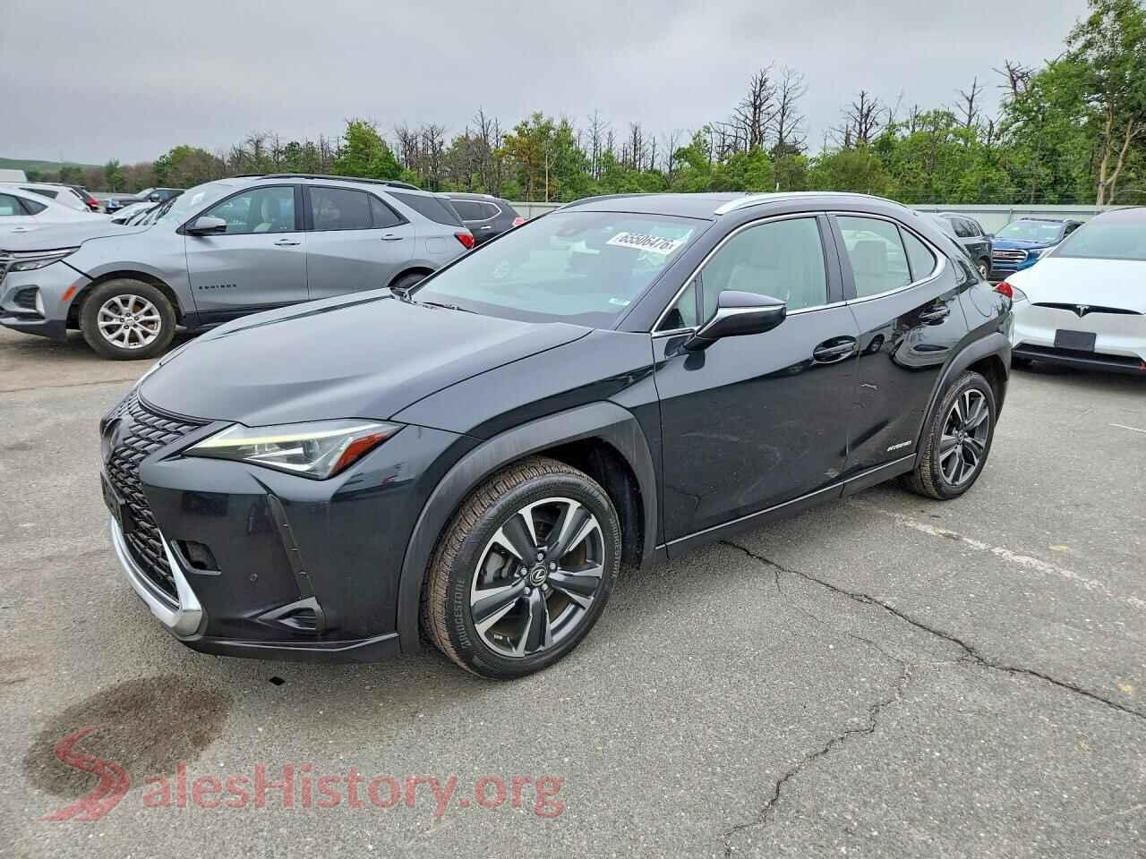 2019 LEXUS ALL OTHER — VIN JTHU9JBH8K2019384