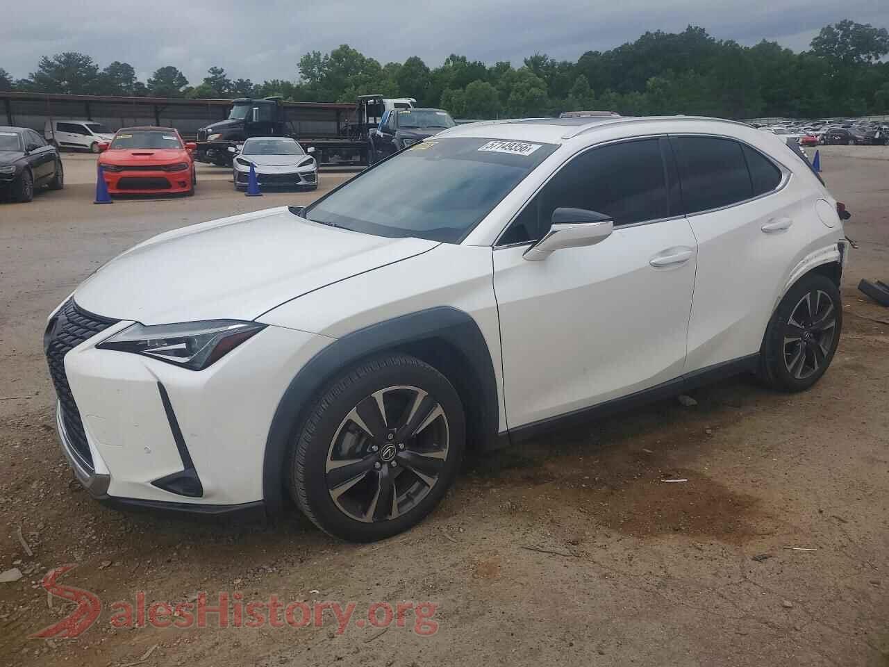 2021 LEXUS ALL OTHER — VIN JTHX3JBH3M2033856