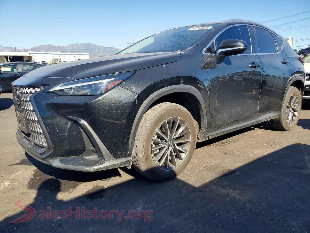 2024 LEXUS NX — VIN JTJAKCEZXR5019840