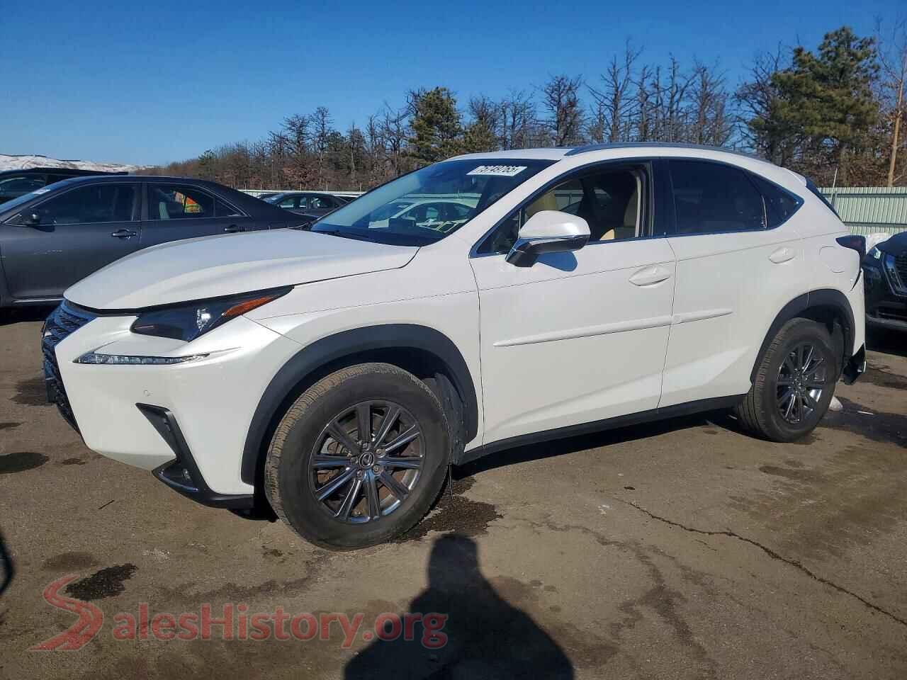 2018 LEXUS NX — VIN JTJBARBZ5J2160027