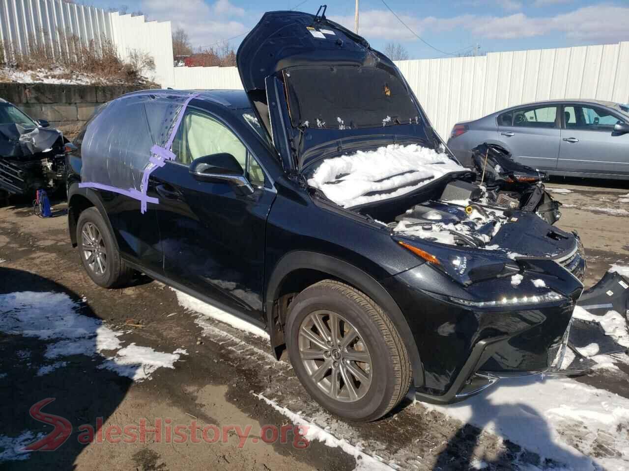 2021 LEXUS NX — VIN JTJDARBZ0M2192431