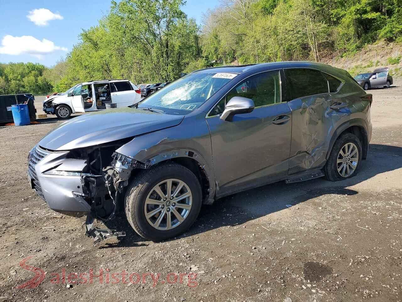 2021 LEXUS NX — VIN JTJDARDZ9M2242210