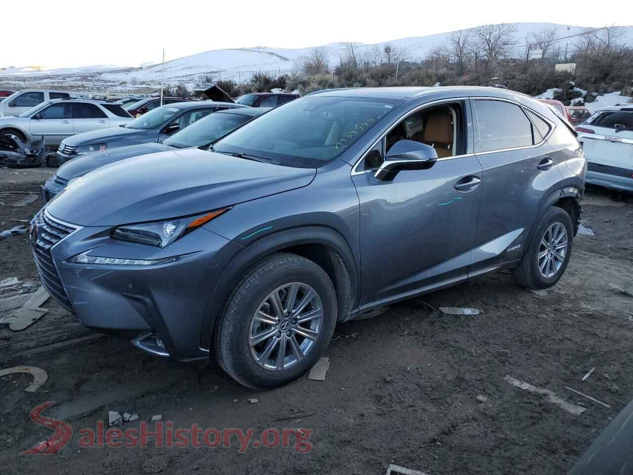 2021 LEXUS NX — VIN JTJDJRDZ8M2166382