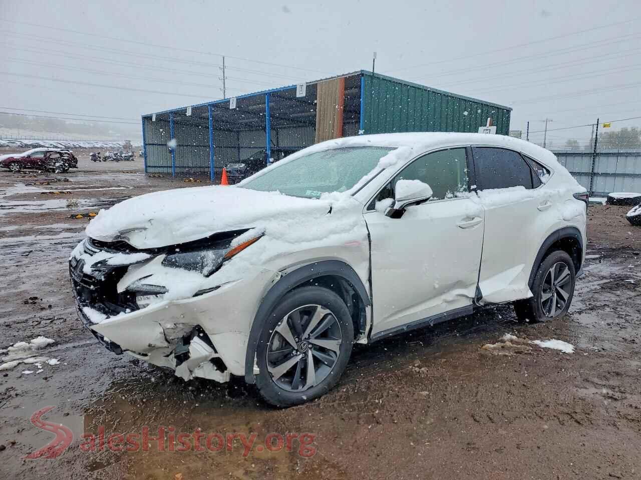 2021 LEXUS NX — VIN JTJGARDZ0M5024751