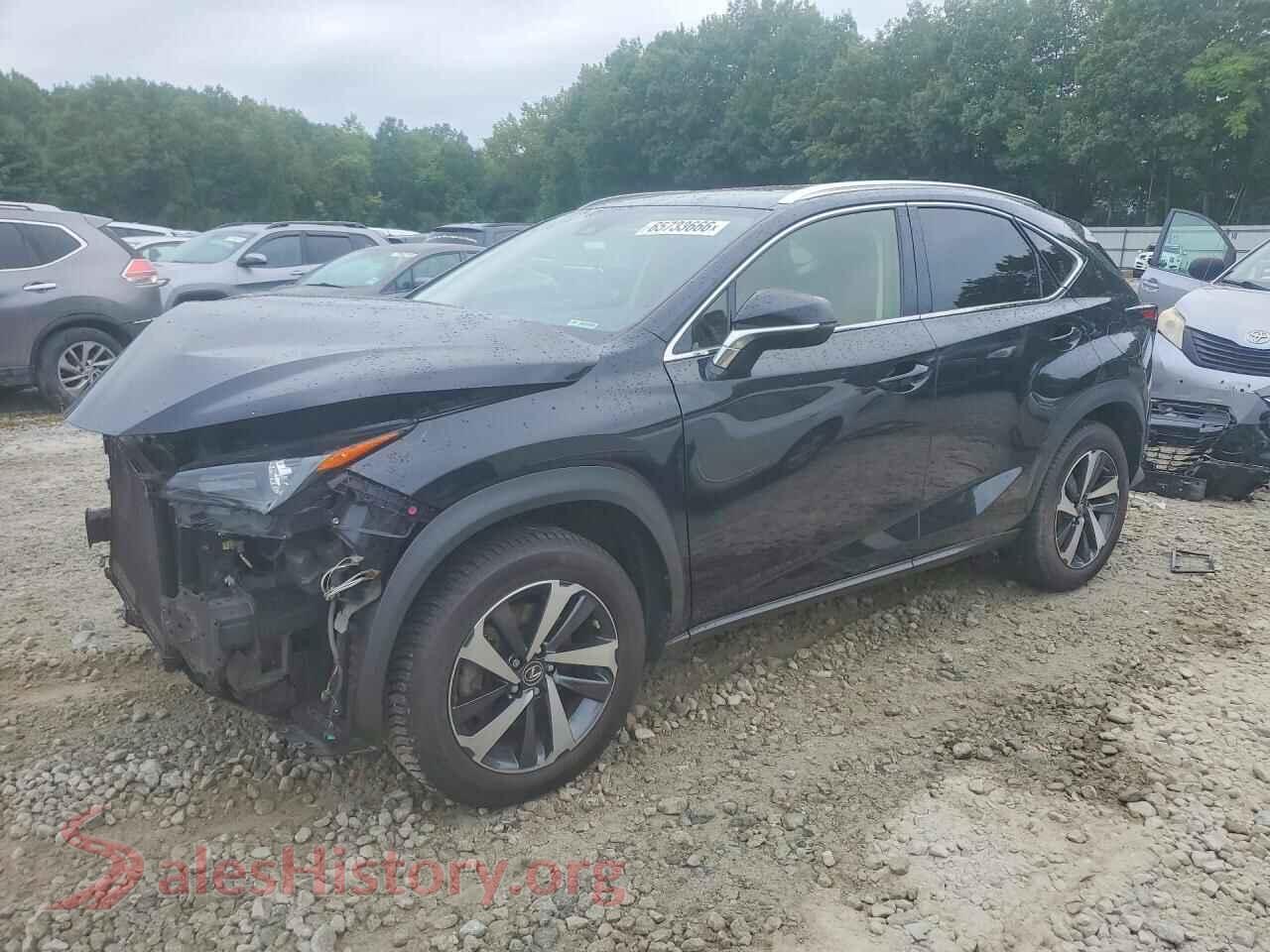 2021 LEXUS NX — VIN JTJGARDZ3M2250574